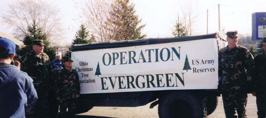 Events at Storeyland Christmas Tree Farm