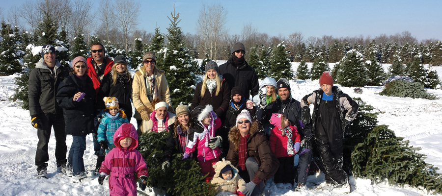 Storeyland Christmas Tree Farm