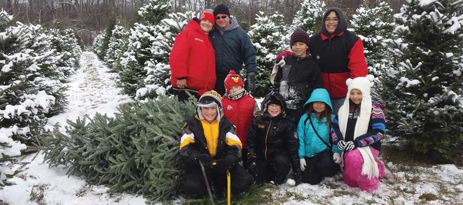 Storeyland Christmas Tree Farm