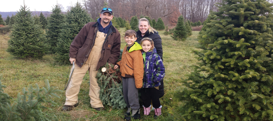 Storeyland Christmas Tree Farm